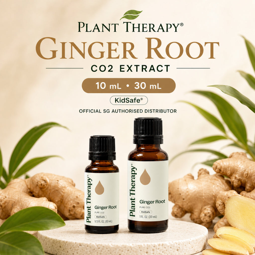 Plant Therapy Ginger Root CO2 Extract