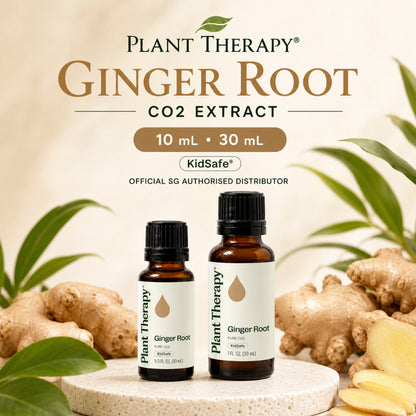 Plant Therapy Ginger Root CO2 Extract