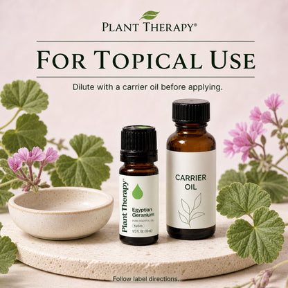 Plant Therapy Geranium Egyptian Essential Oil