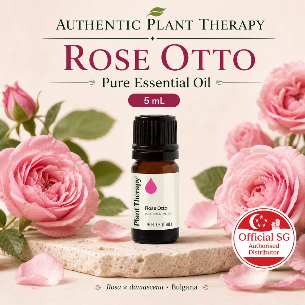 Plant Therapy Rose Otto Essential Oil