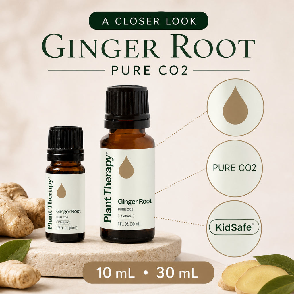 Plant Therapy Ginger Root CO2 Extract