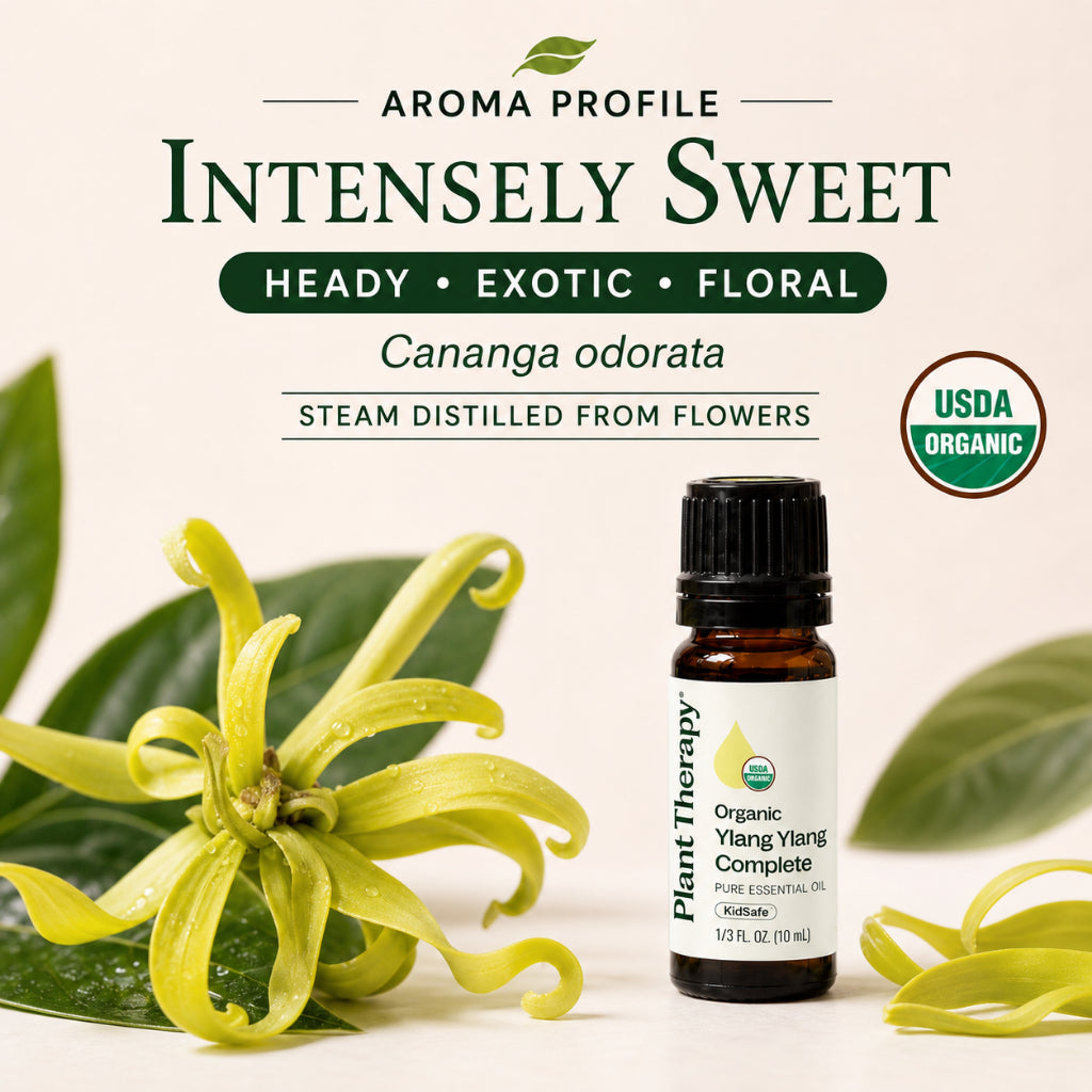 Plant Therapy Organic Ylang Ylang Complete Essential Oil