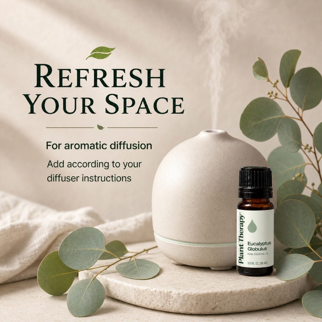 Plant Therapy Eucalyptus Globulus Essential Oil