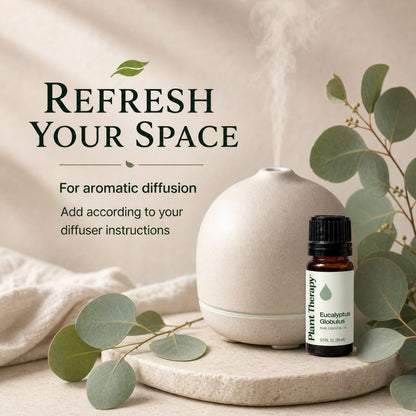 Plant Therapy Eucalyptus Globulus Essential Oil