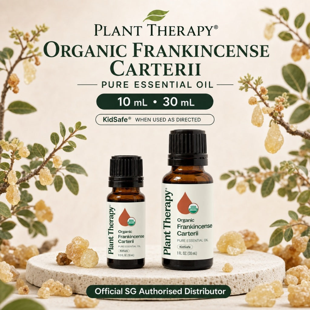 Plant Therapy Frankincense Organic Carteri Essential Oil