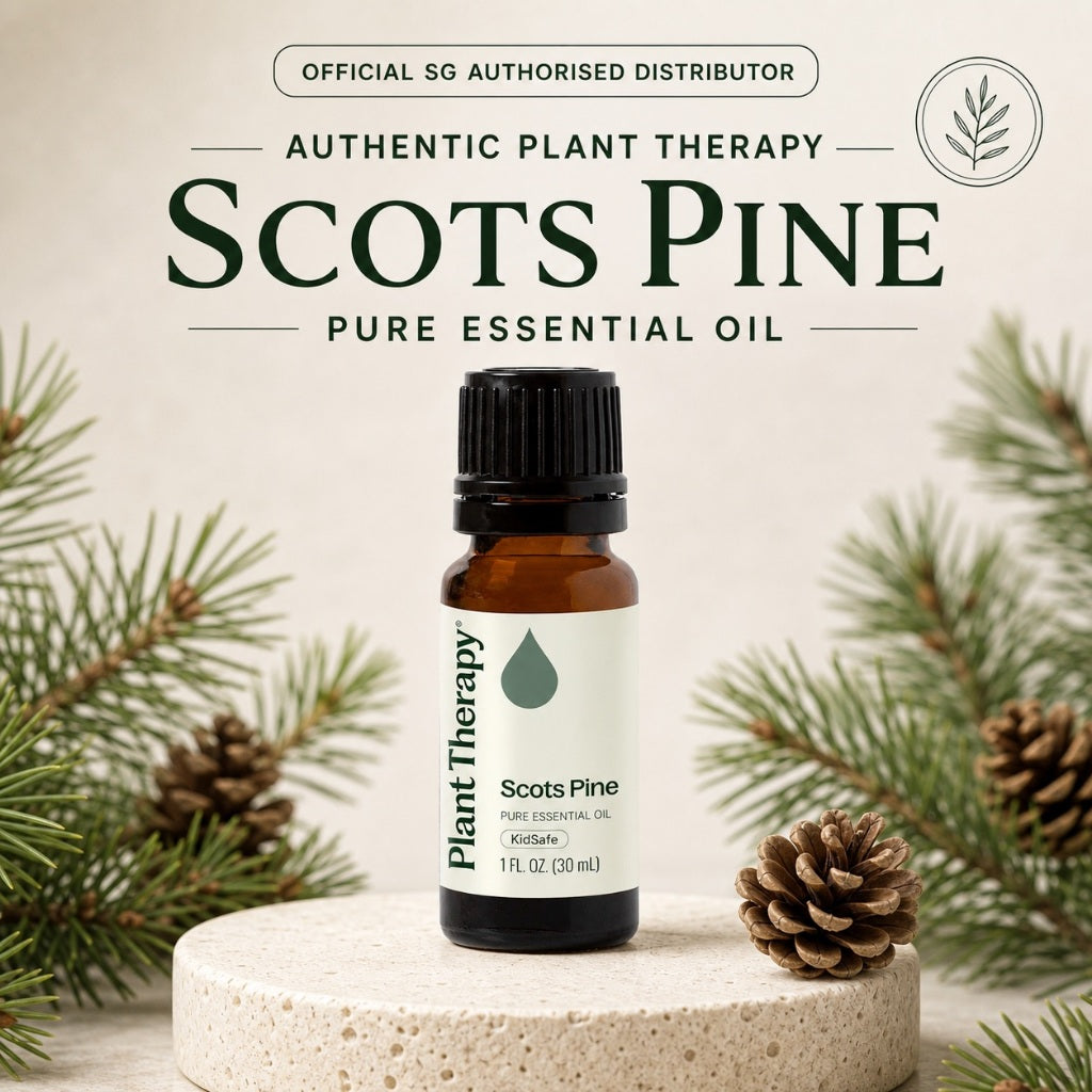 Plant Therapy Scots Pine Essential Oil