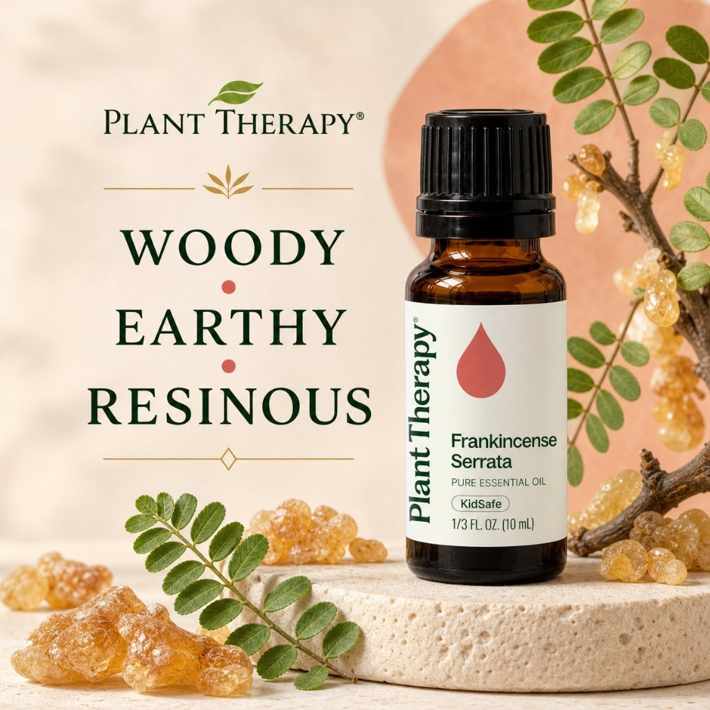 Plant Therapy Frankincense Serrata Essential Oil