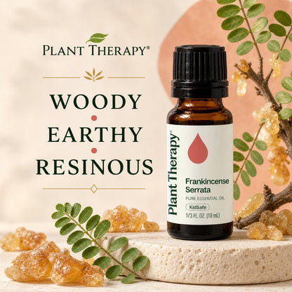 Plant Therapy Frankincense Serrata Essential Oil