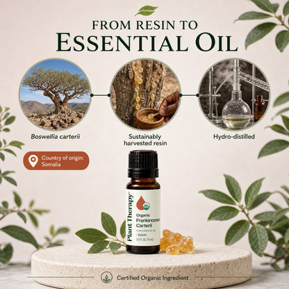 Plant Therapy Frankincense Organic Carteri Essential Oil