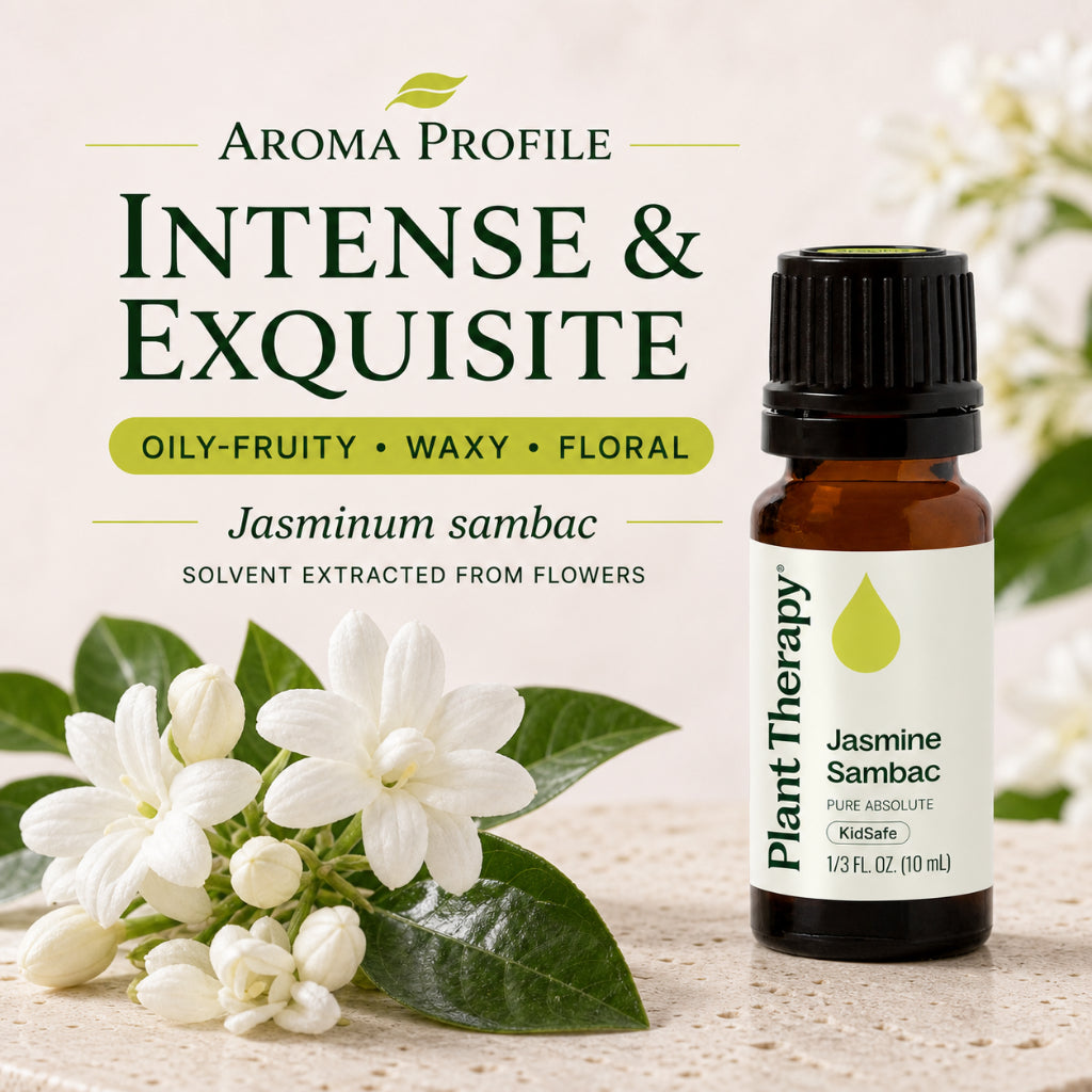 Plant Therapy Jasmine Sambac Pure Absolute Essential Oil