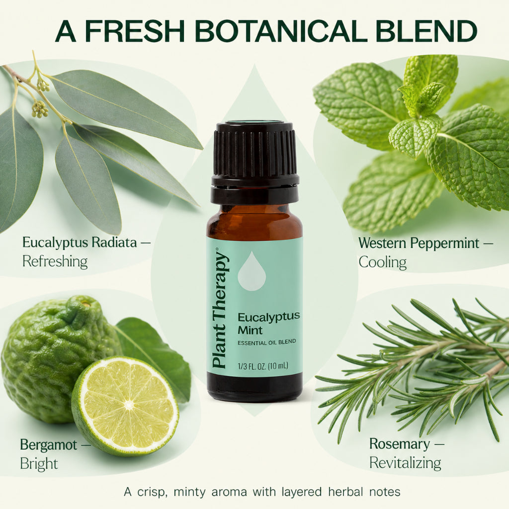 Plant Therapy Eucalyptus Mint Essential Oil Blend | Refreshing Spa Aroma | Aromatherapy Diffuser &amp; Massage Oil