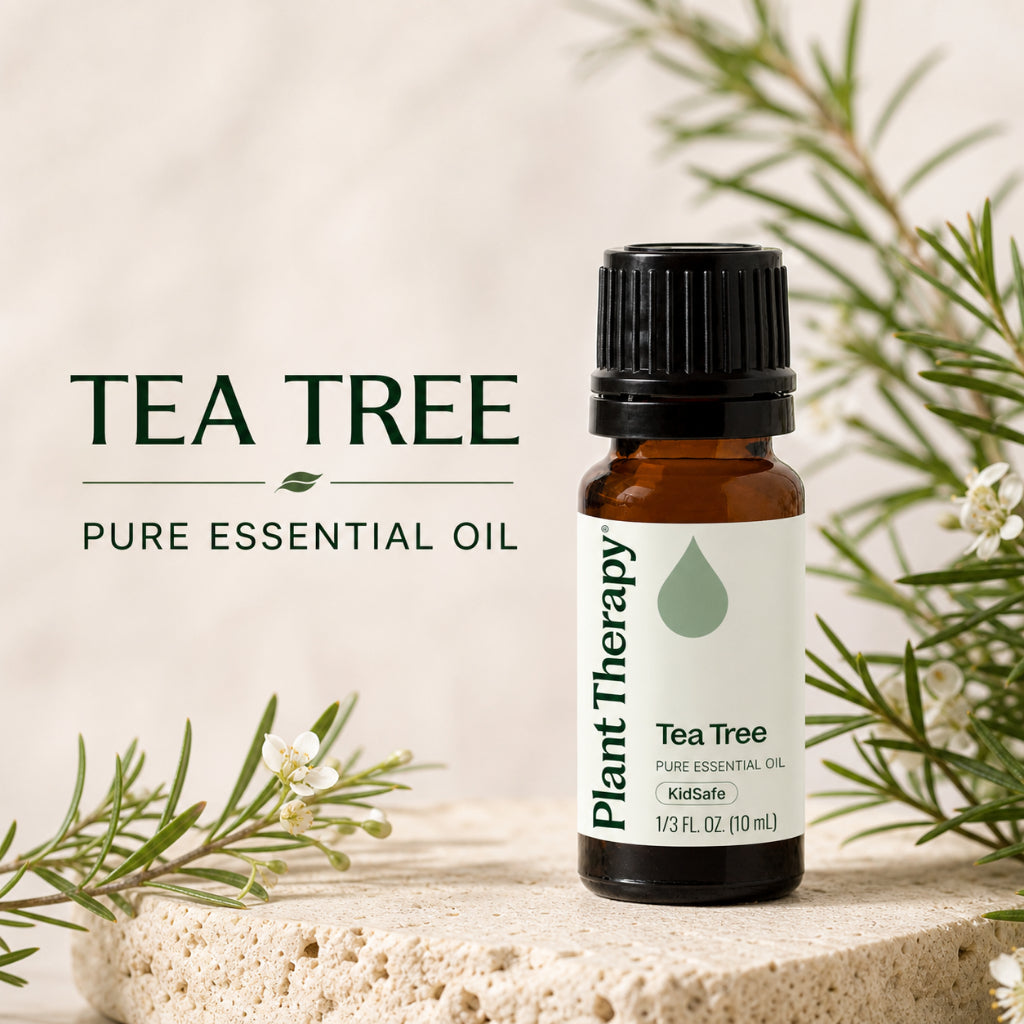 Plant Therapy Tea Tree Essential Oil