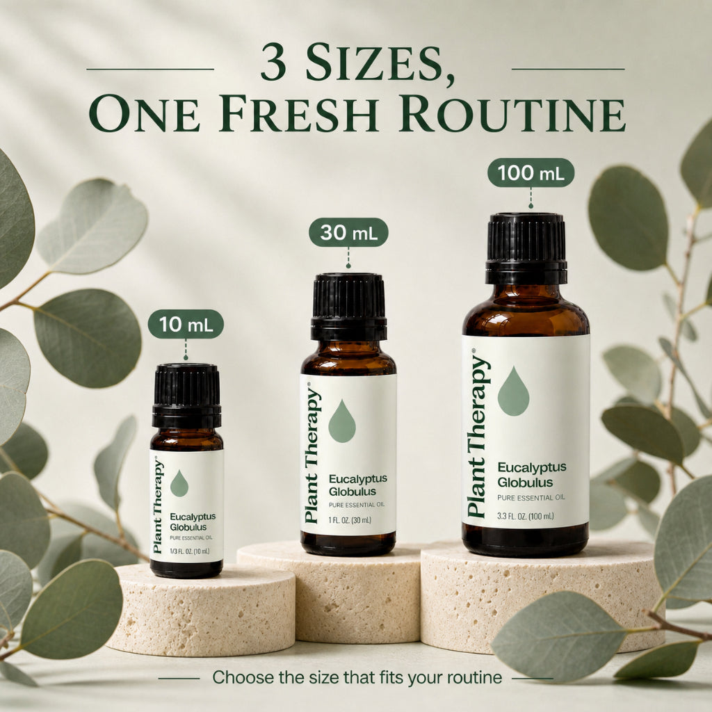 Plant Therapy Eucalyptus Globulus Essential Oil