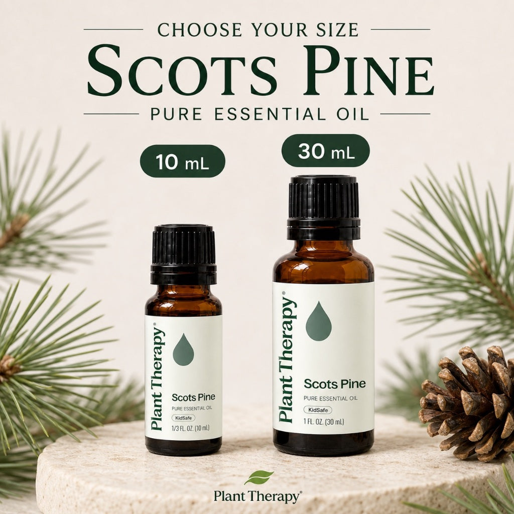Plant Therapy Scots Pine Essential Oil
