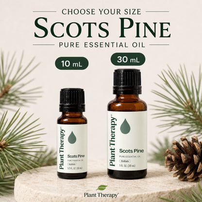 Plant Therapy Scots Pine Essential Oil