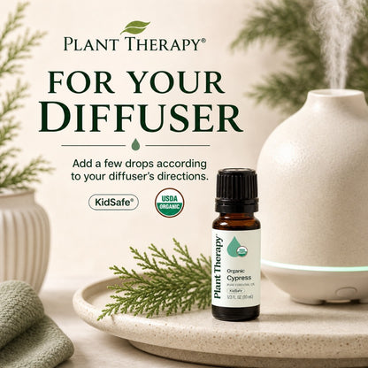 Plant Therapy Organic Cypress Essential Oil