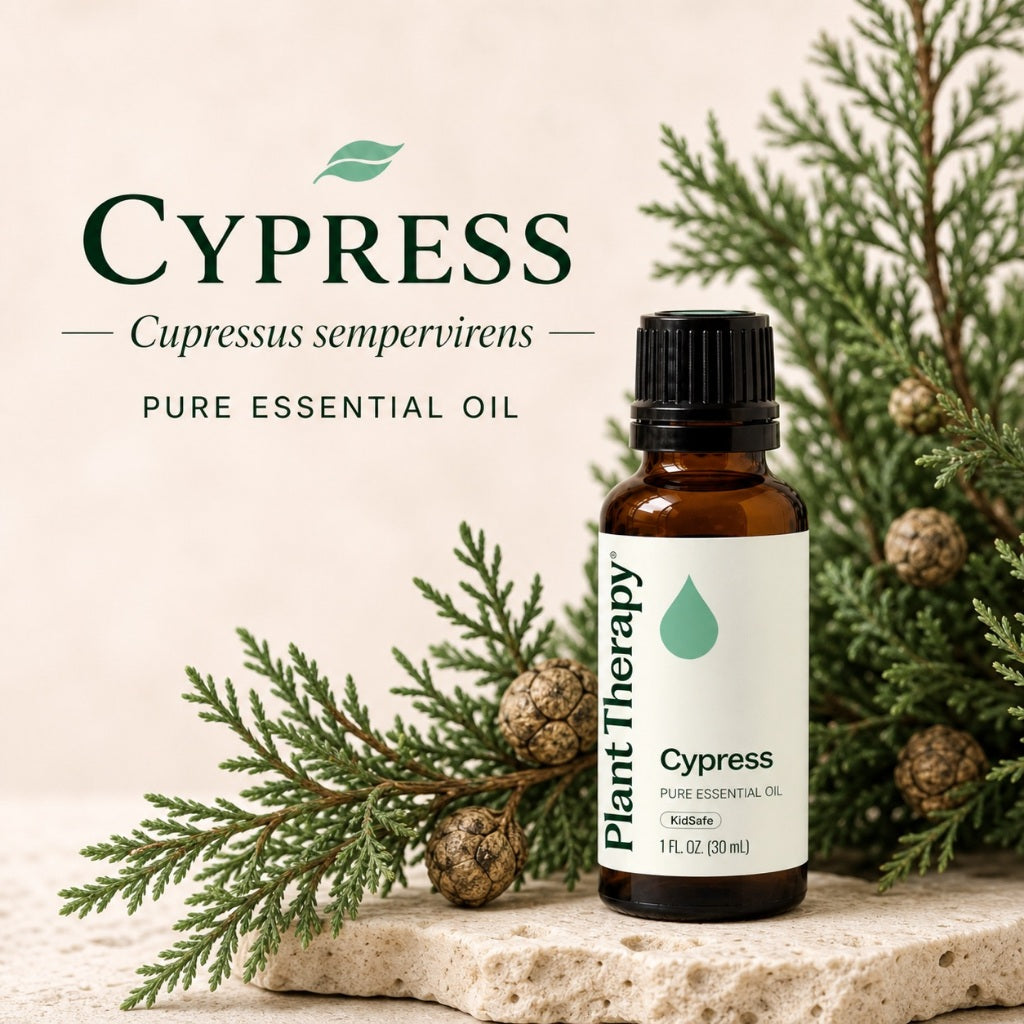 Plant Therapy Cypress Essential Oil
