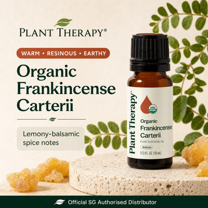Plant Therapy Frankincense Organic Carteri Essential Oil