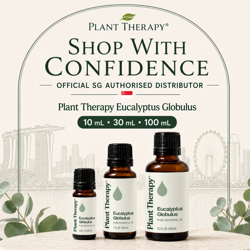 Plant Therapy Eucalyptus Globulus Essential Oil