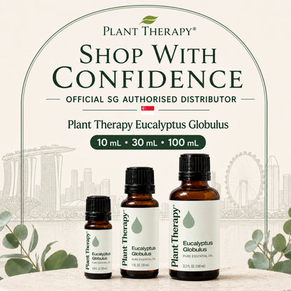 Plant Therapy Eucalyptus Globulus Essential Oil