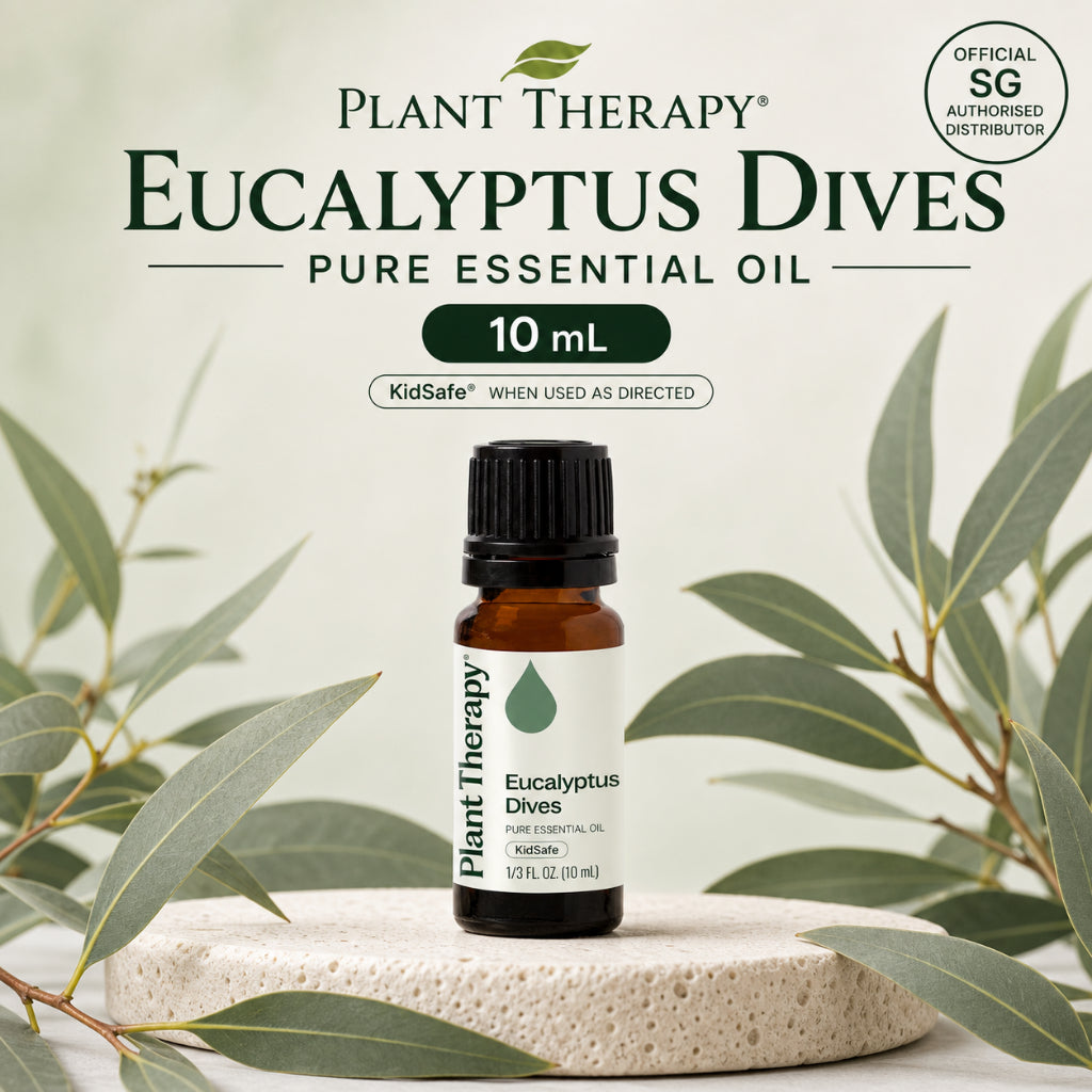 Plant Therapy Eucalyptus Dives Essential Oil