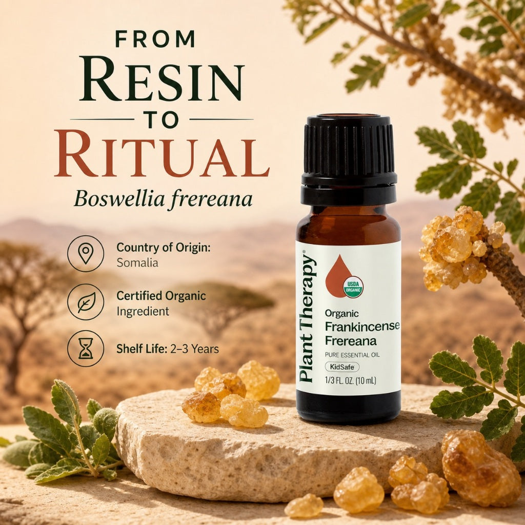 Plant Therapy Organic Frankincense Frereana Essential Oil