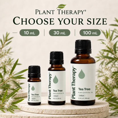 Plant Therapy Tea Tree Essential Oil