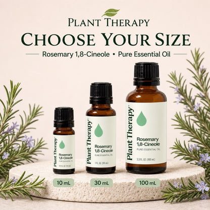 Plant Therapy Rosemary Essential Oil｜Official SG Authorised Distributor