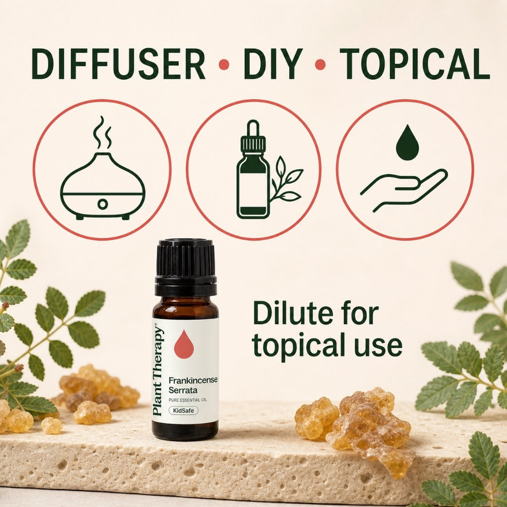 Plant Therapy Frankincense Serrata Essential Oil