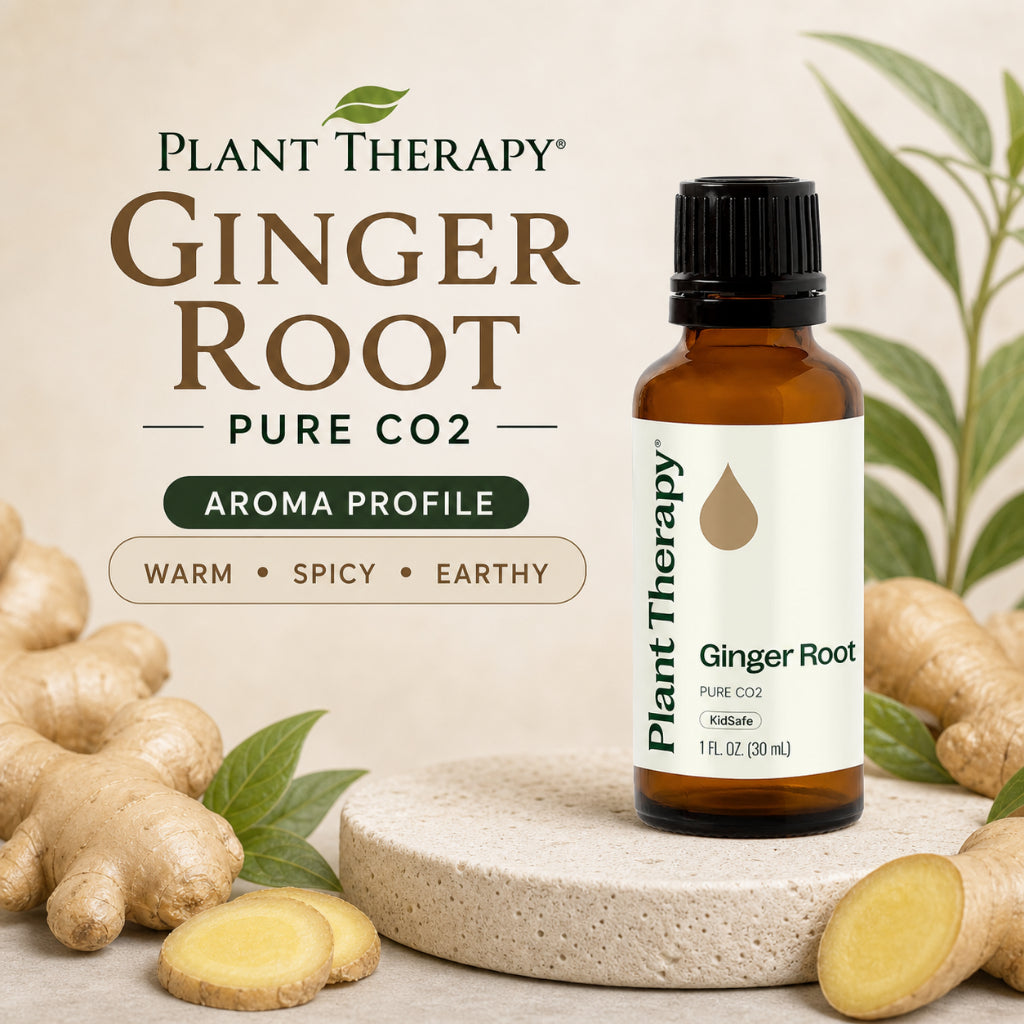 Plant Therapy Ginger Root CO2 Extract