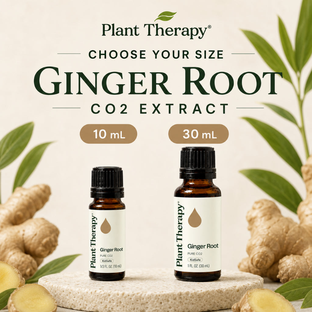 Plant Therapy Ginger Root CO2 Extract