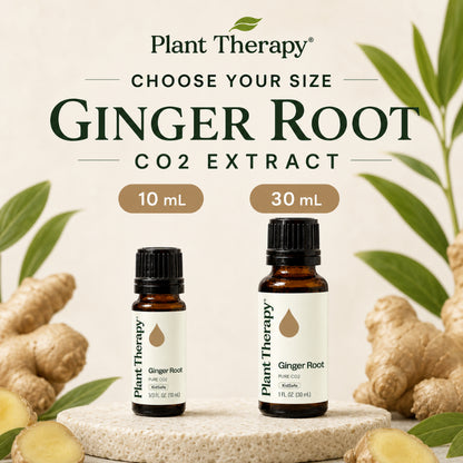 Plant Therapy Ginger Root CO2 Extract