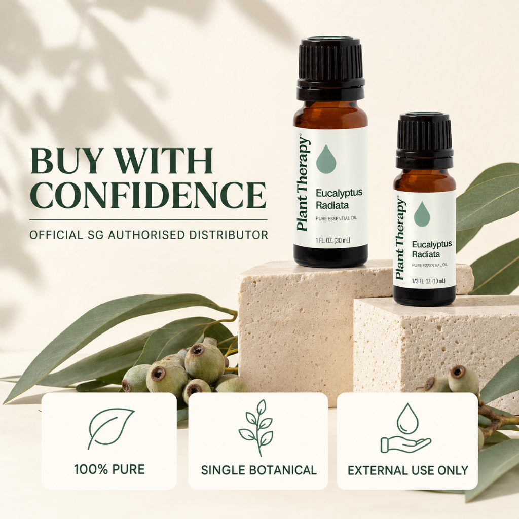 Plant Therapy Eucalyptus Radiata Essential Oil