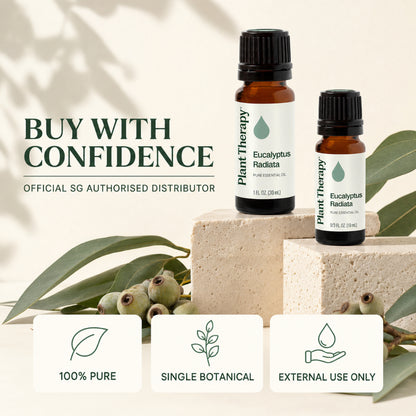 Plant Therapy Eucalyptus Radiata Essential Oil
