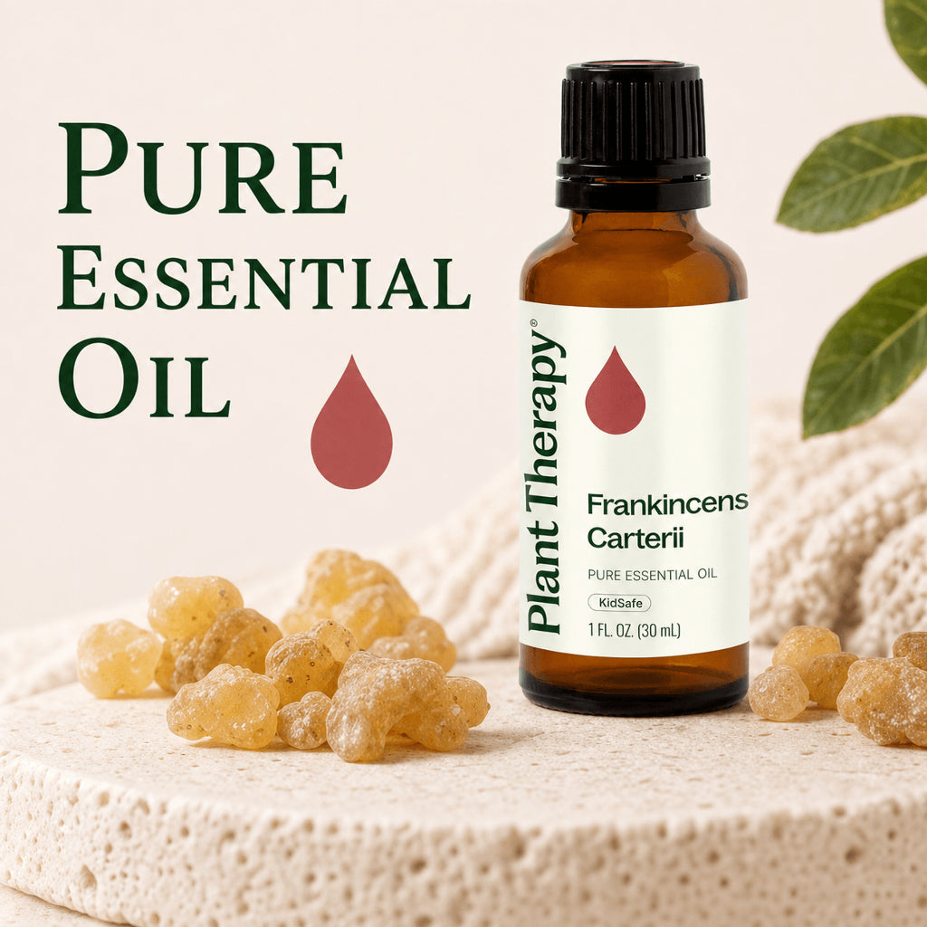 Plant Therapy Frankincense Carterii Essential Oil