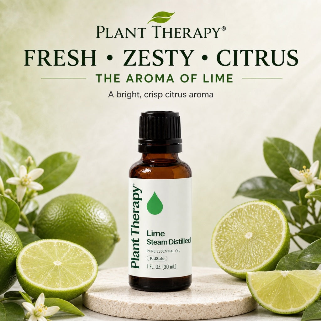 Plant Therapy Lime Steam Distilled Essential Oil