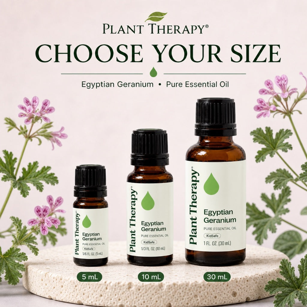 Plant Therapy Geranium Egyptian Essential Oil