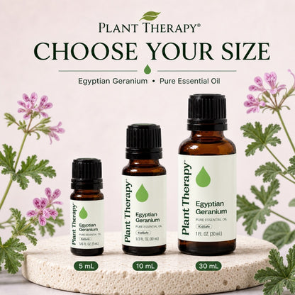 Plant Therapy Geranium Egyptian Essential Oil