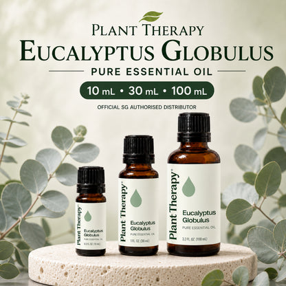 Plant Therapy Eucalyptus Globulus Essential Oil