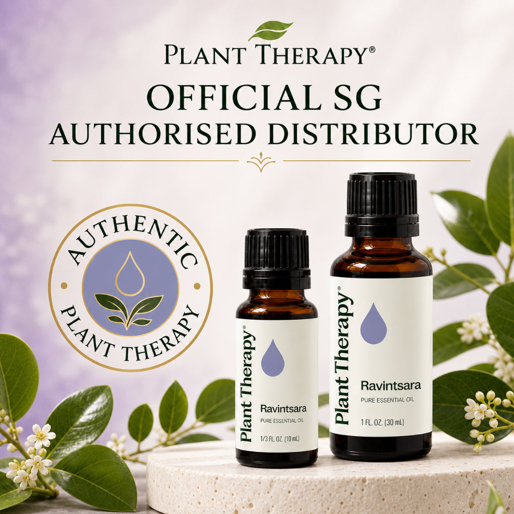 Plant Therapy Ravintsara Essential Oil