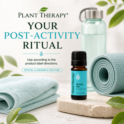Plant Therapy Muscle Aid Synergy Essential Oil