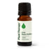Lime Steam Distilled Essential Oil product image 10 – Nature Therapy Singapore