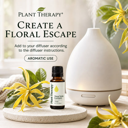 Plant Therapy Ylang Ylang Complete Essential Oil