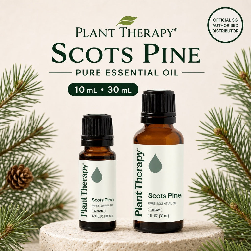 Plant Therapy Scots Pine Essential Oil