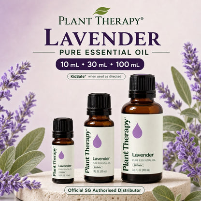 Plant Therapy Lavender Essential Oil | Official SG Authorised Distributor