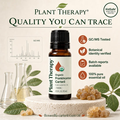 Plant Therapy Frankincense Organic Carteri Essential Oil