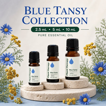 Plant Therapy Blue Tansy Essential Oil