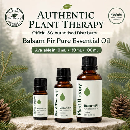 Plant Therapy Balsam Fir Essential Oil