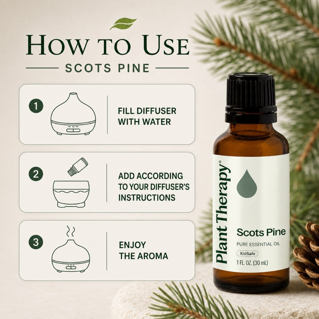 Plant Therapy Scots Pine Essential Oil