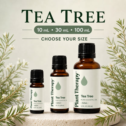 Plant Therapy Tea Tree Essential Oil